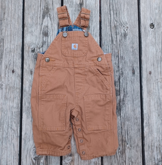 Carhartt Flannel Lined Overalls - Picture 1 of 5